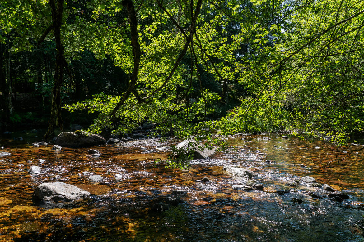 La Vézère sous le soleil