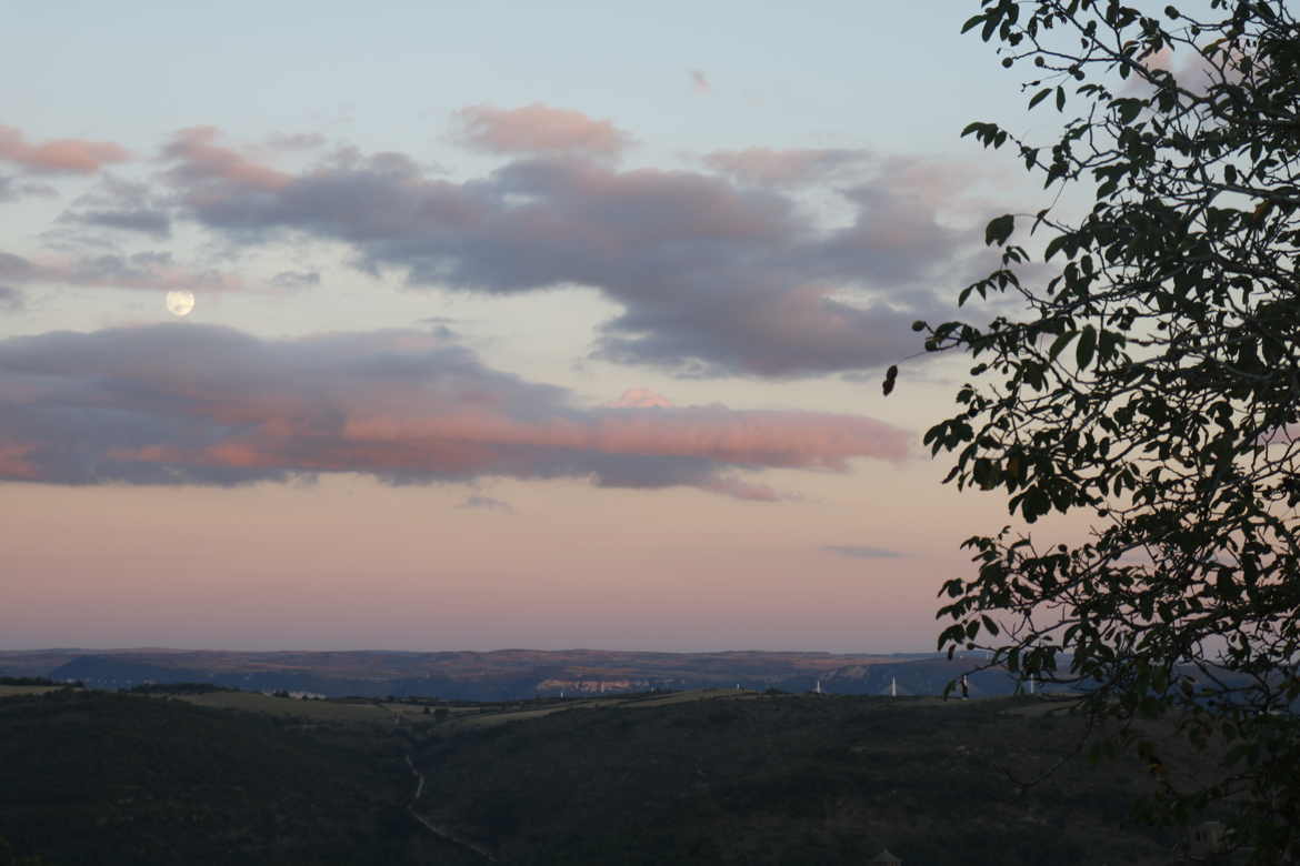 Viaduc de Millau