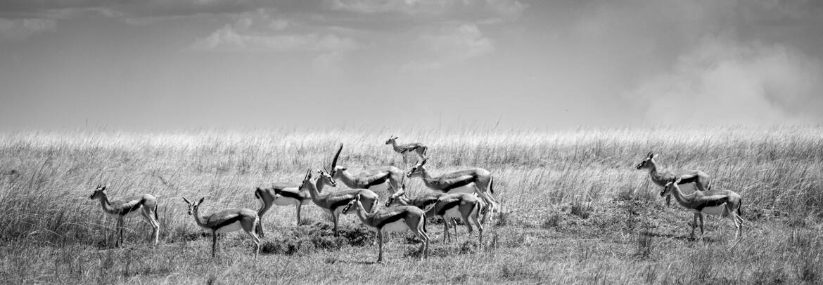 Tous dans la même direction.. enfin presque