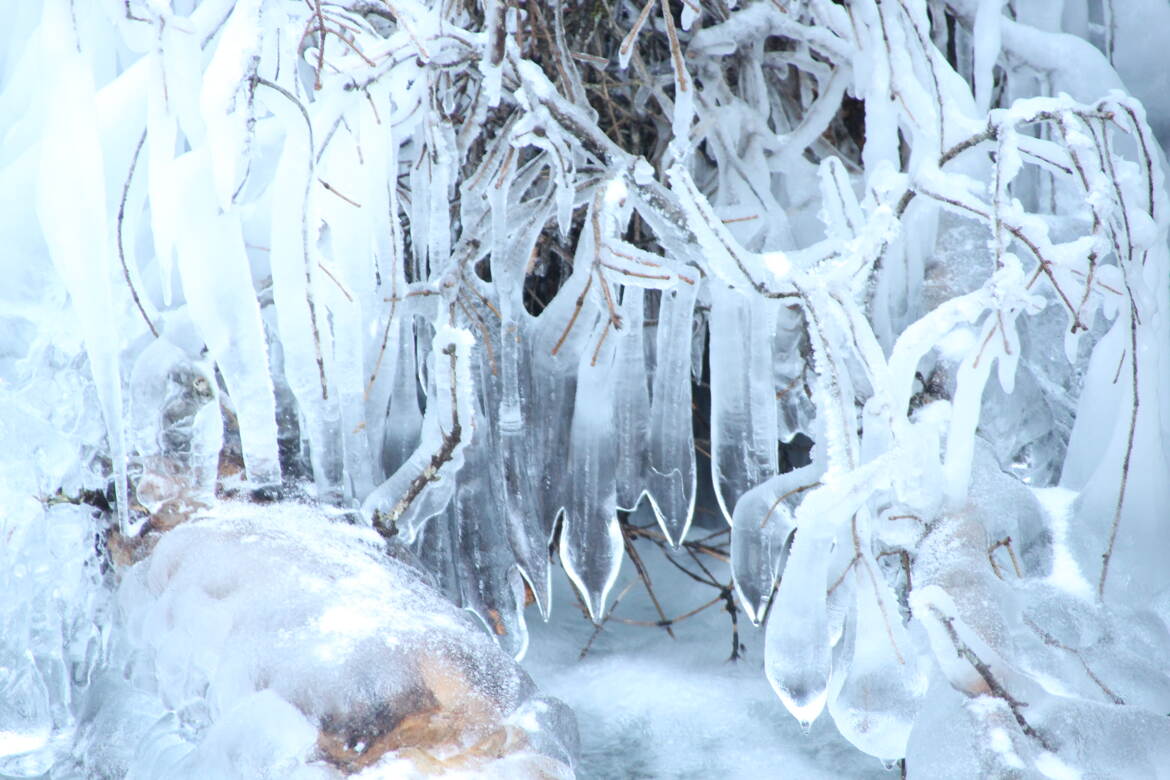 dentelles de glace