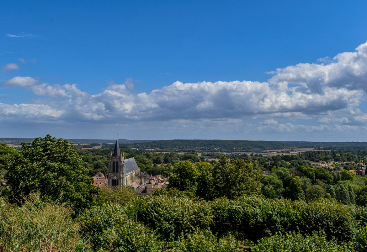 Vue sur la vallée de Chevreuse en été