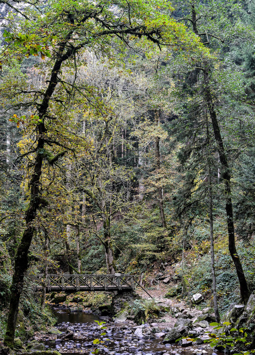 cascade du Bouchot - Vosges