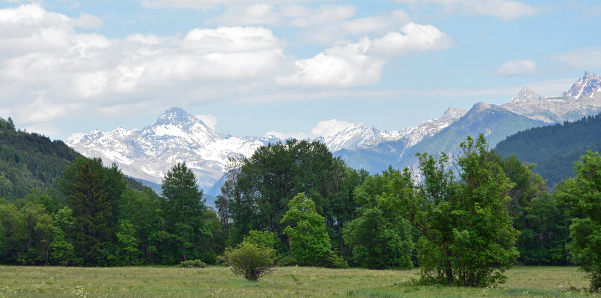 Les Alpes