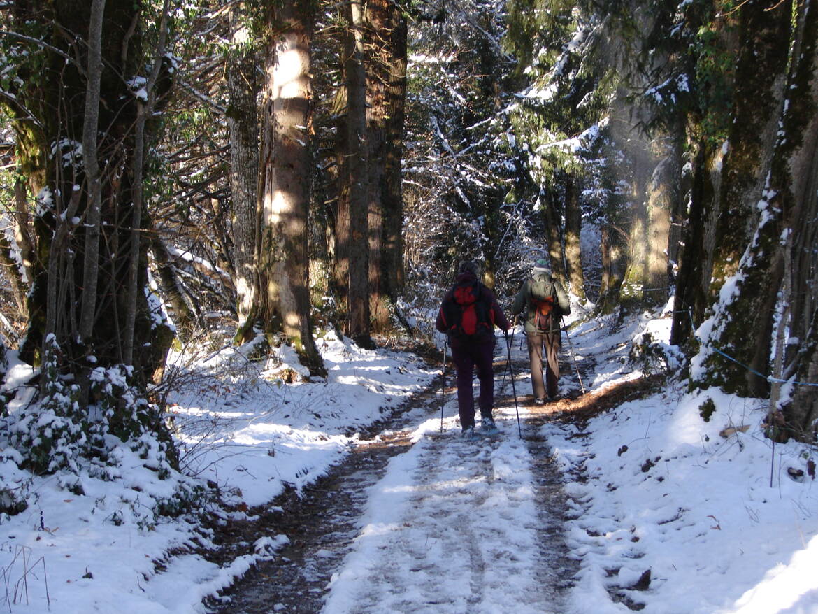 Soleil en intermittense