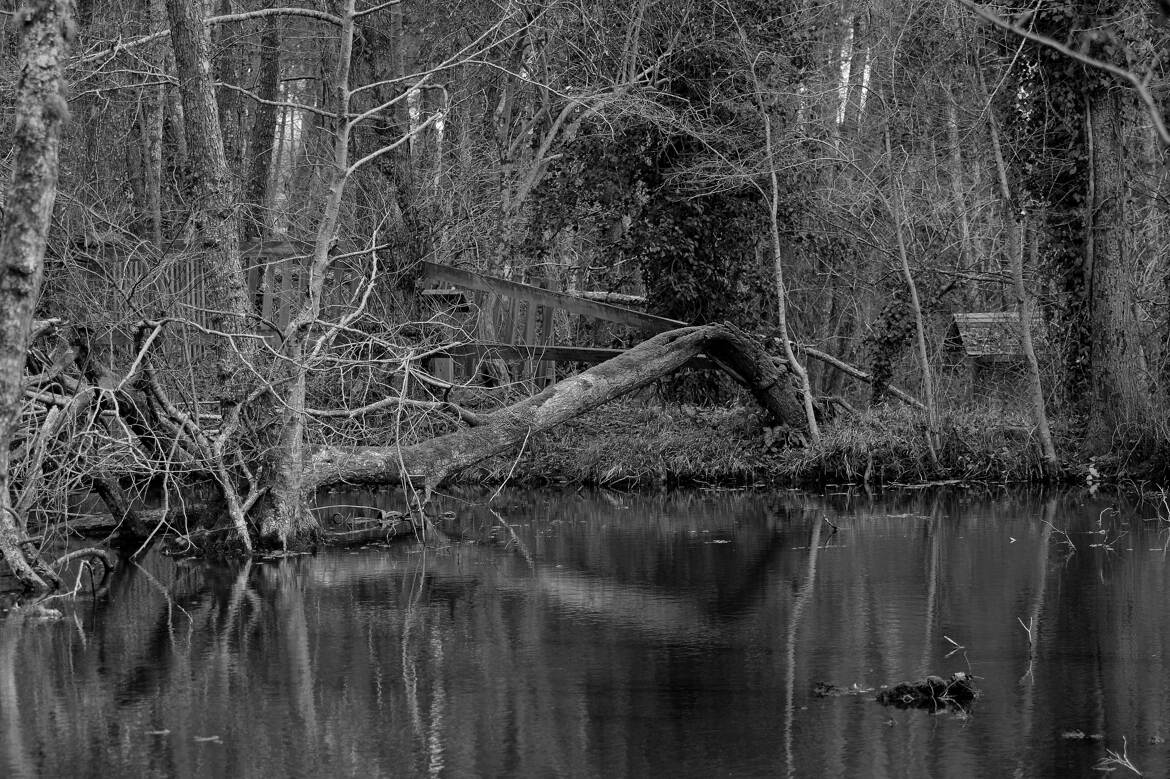 Mystère de la nature