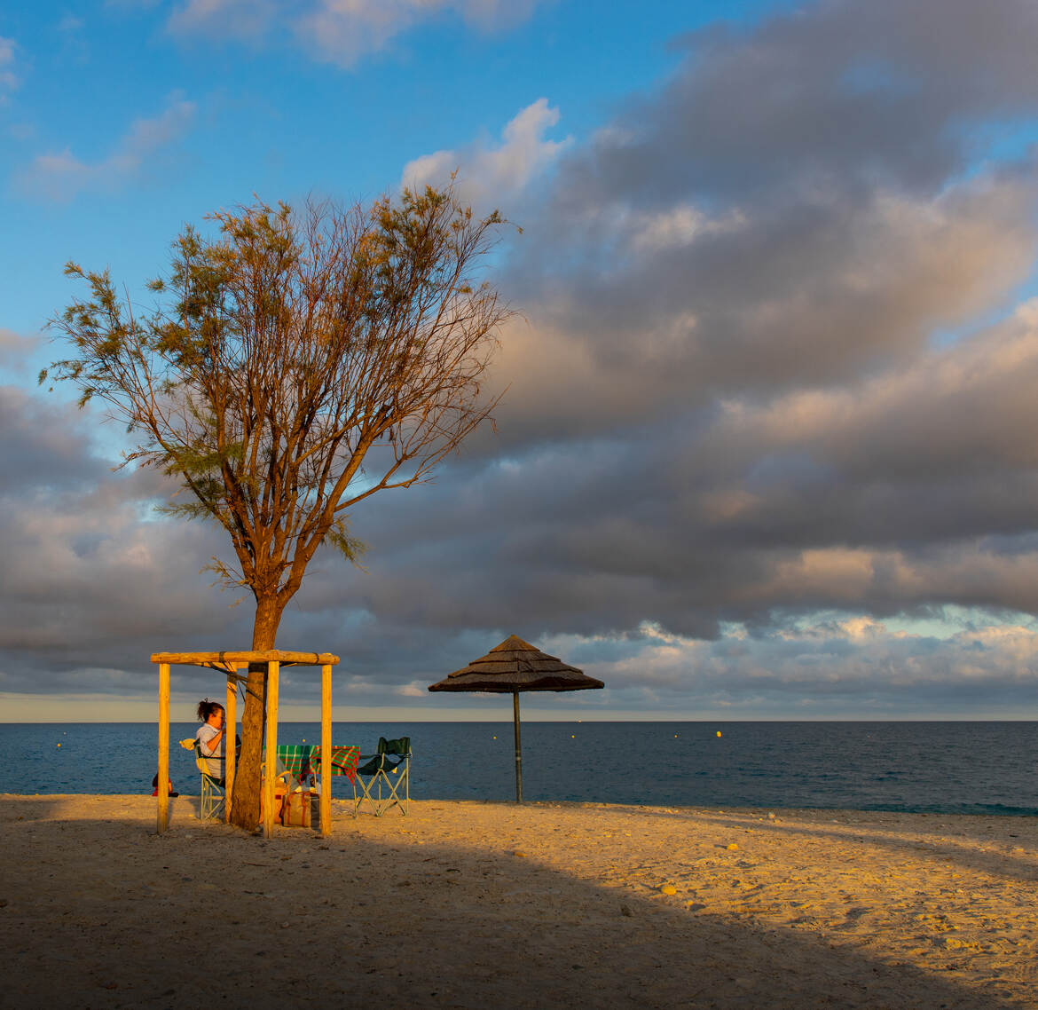 Auprès de mon arbre .......