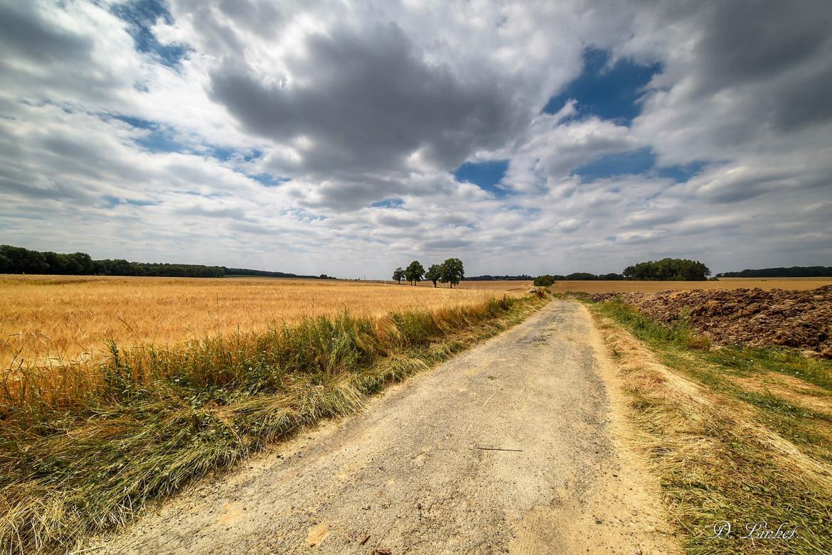 Le vieux chemin.