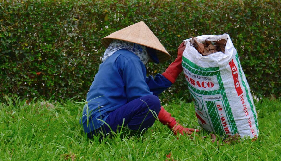 Les feuilles mortes se ramassent à la main