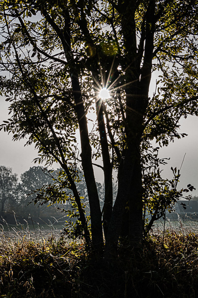 cache cache soleil