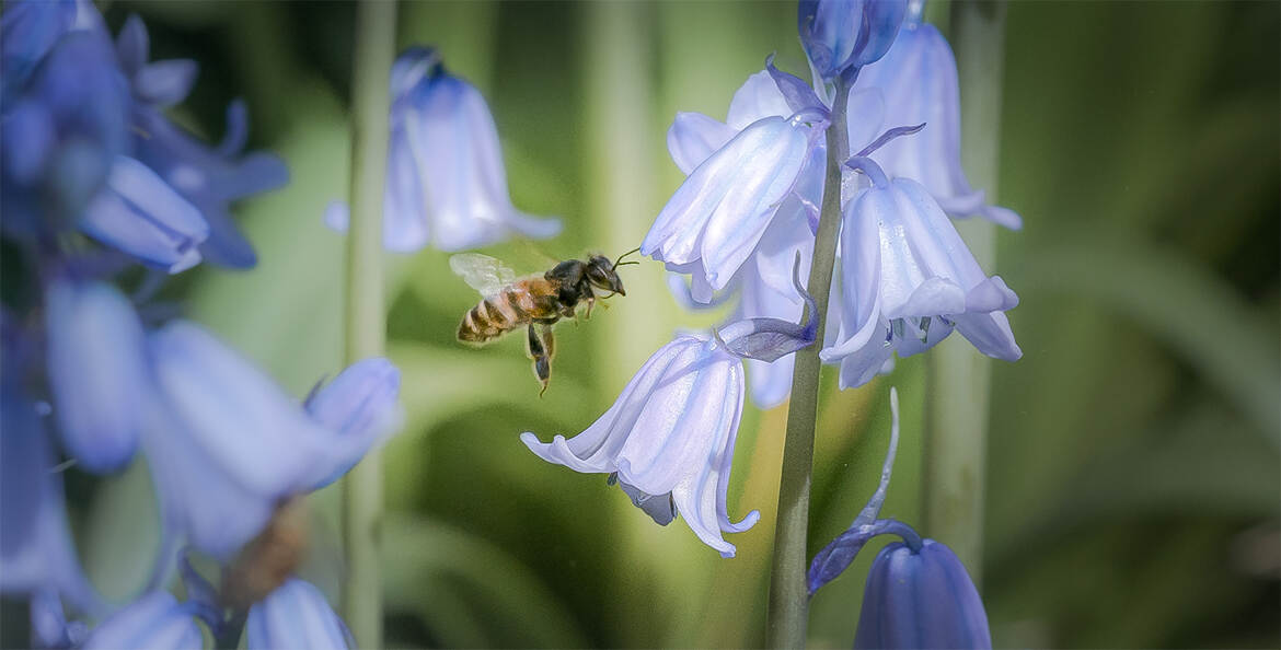 En vol stationnaire...