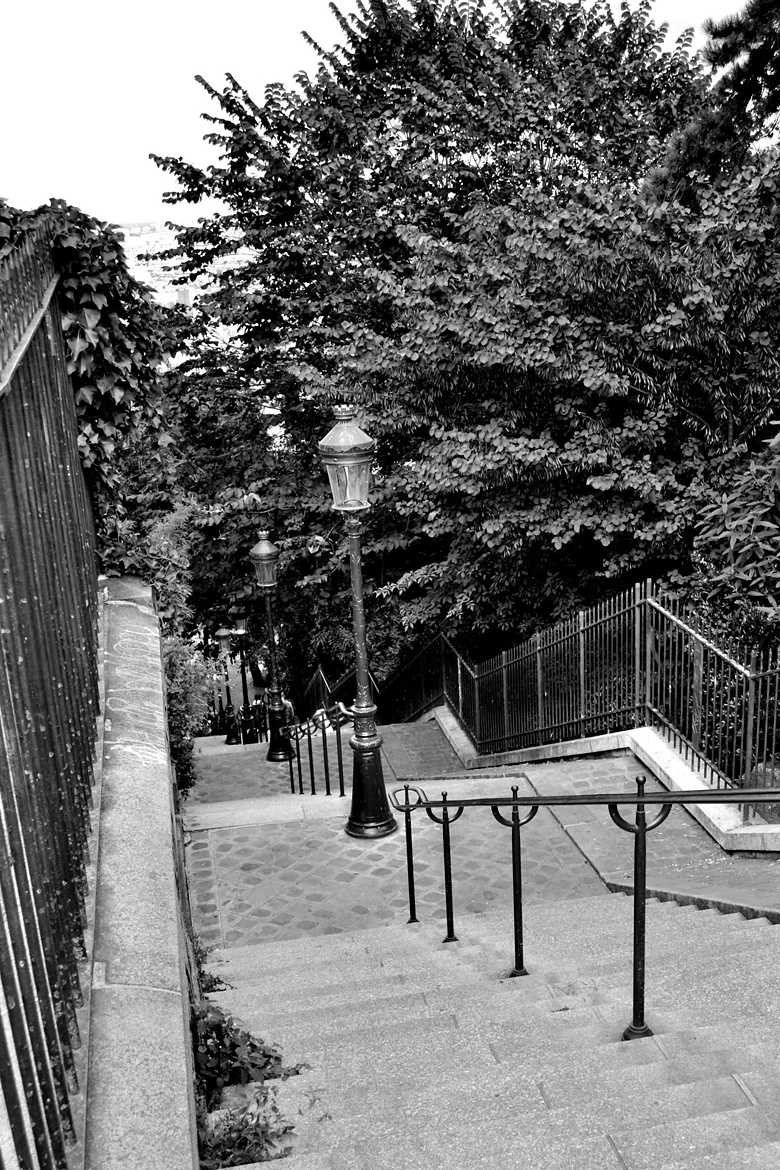 Les fameuses marches de Montmartre