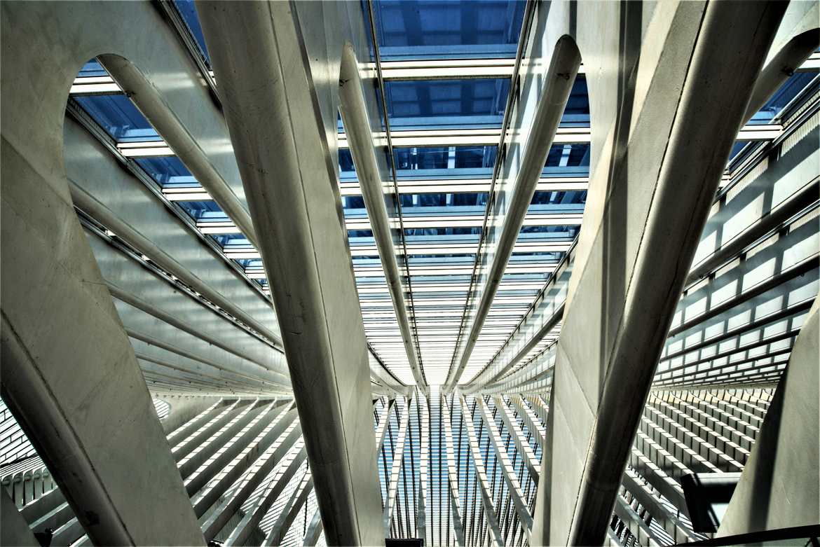 Guillemins 8