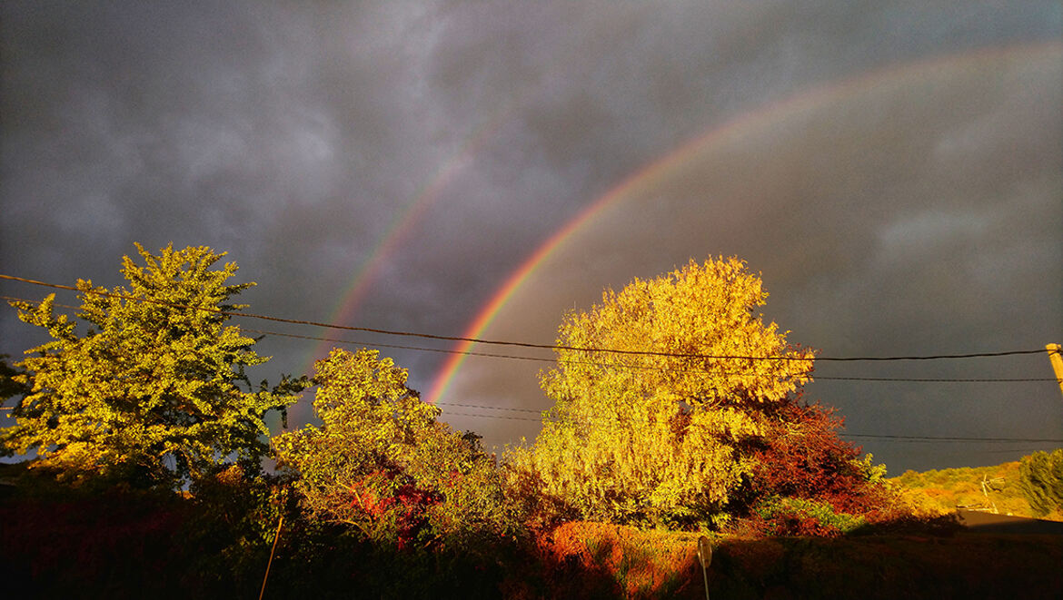 ct pas une rosee matinal