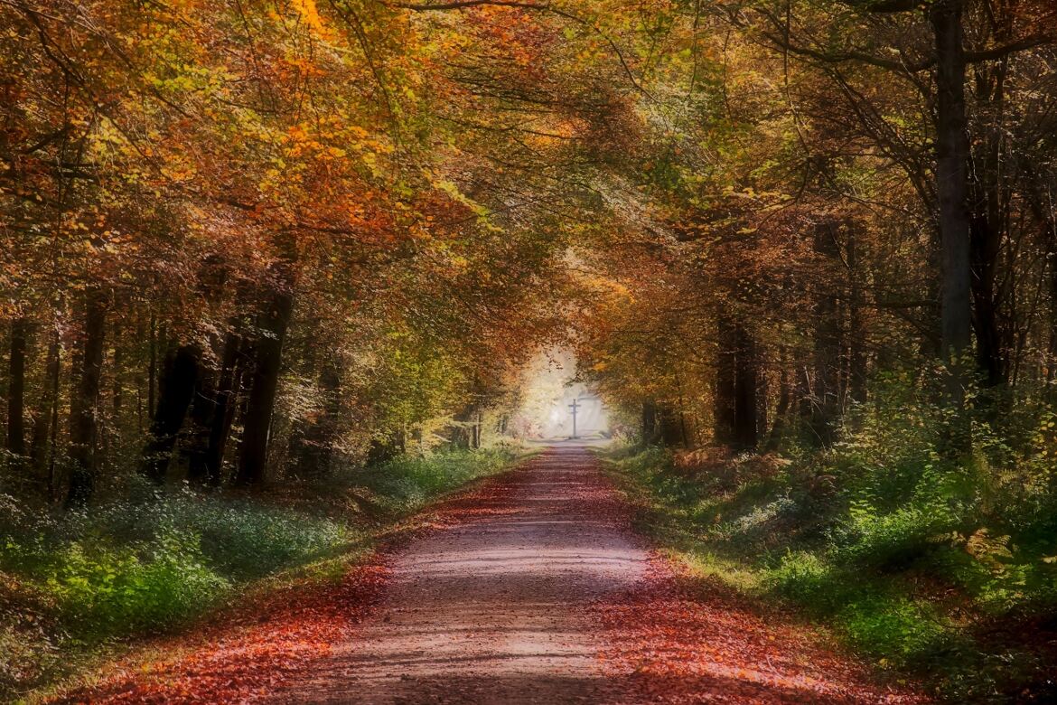 Vers la croisée des chemins