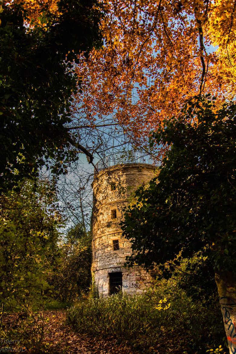 Automne en forêt