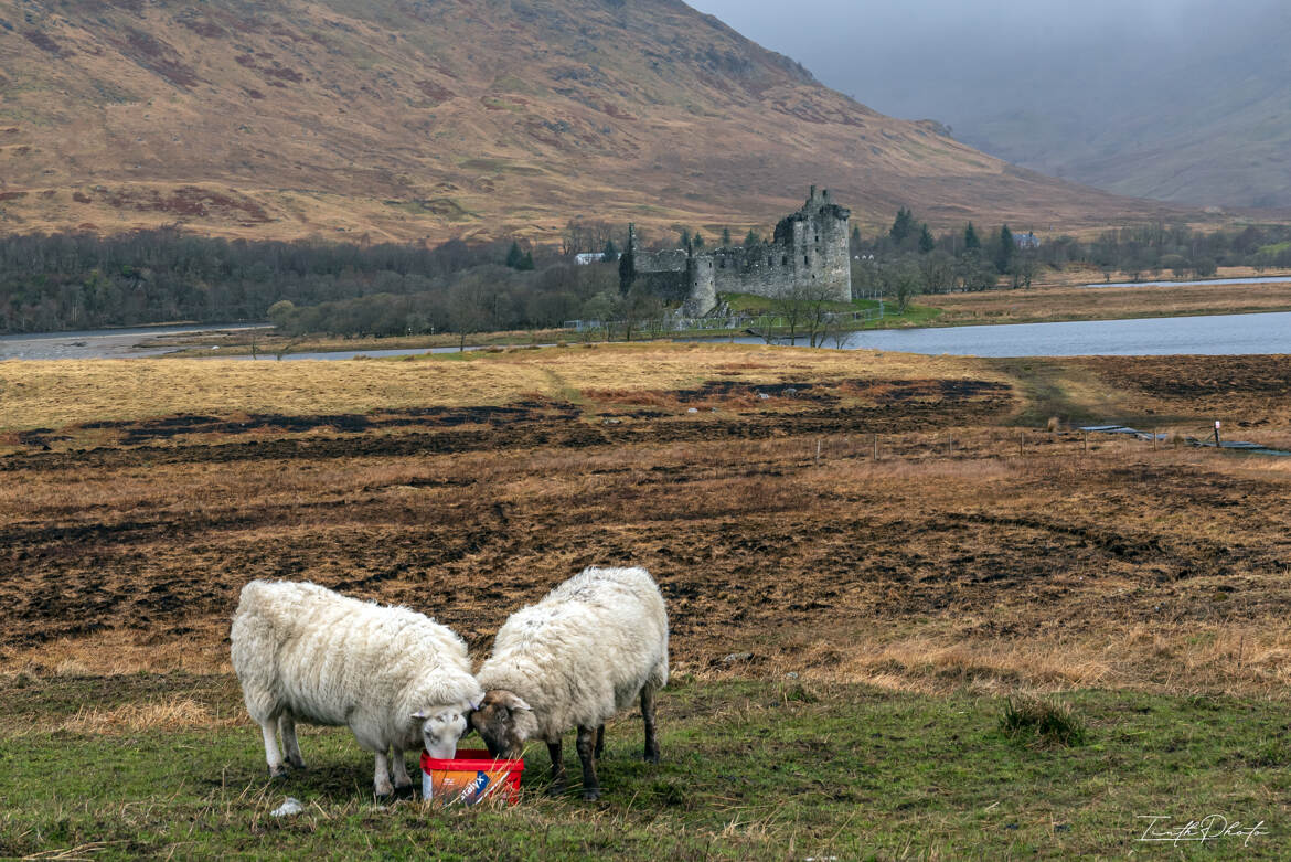 Sur les routes d'Ecosse