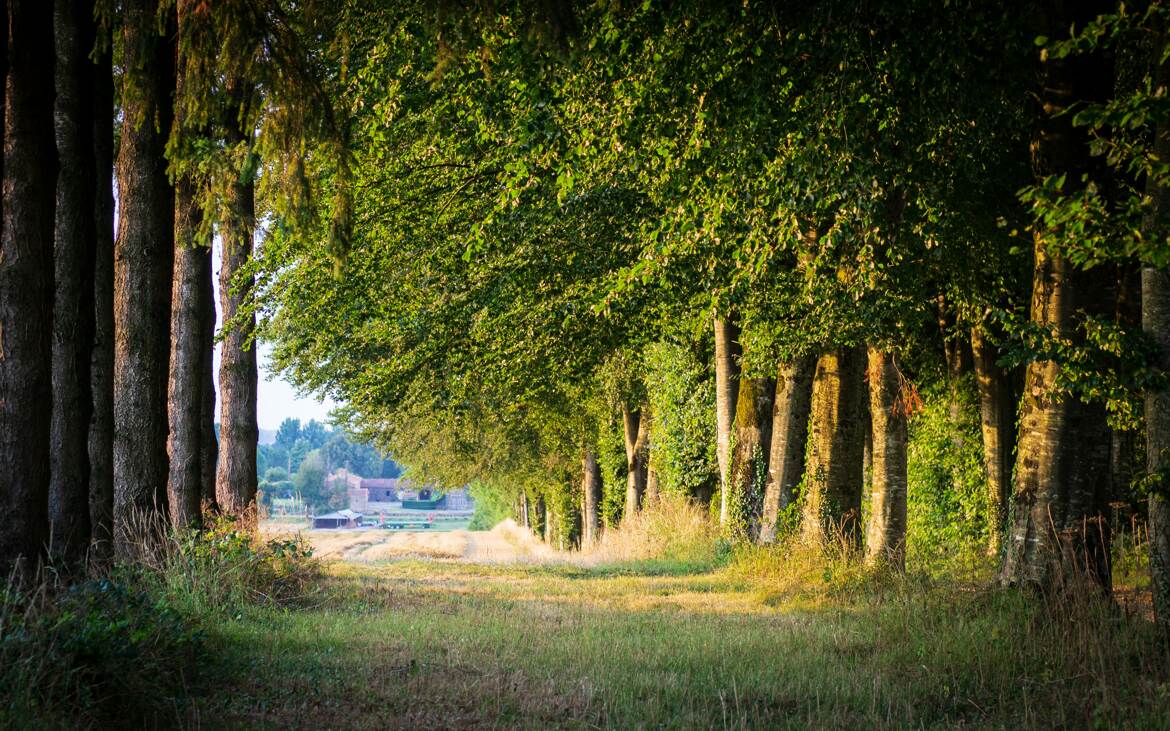 À la campagne