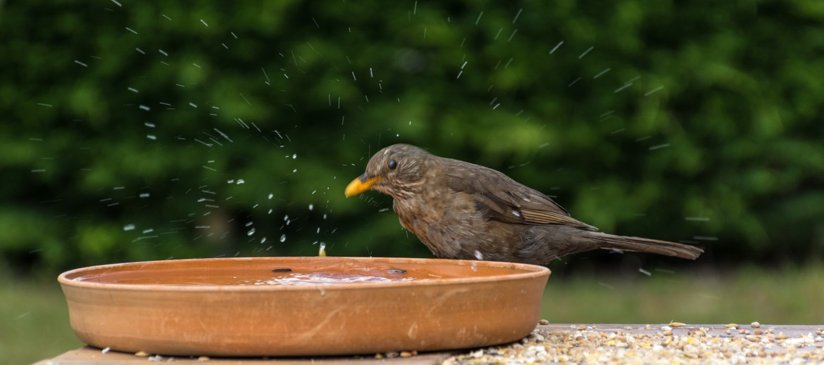 Je profite de d'eau fraiche