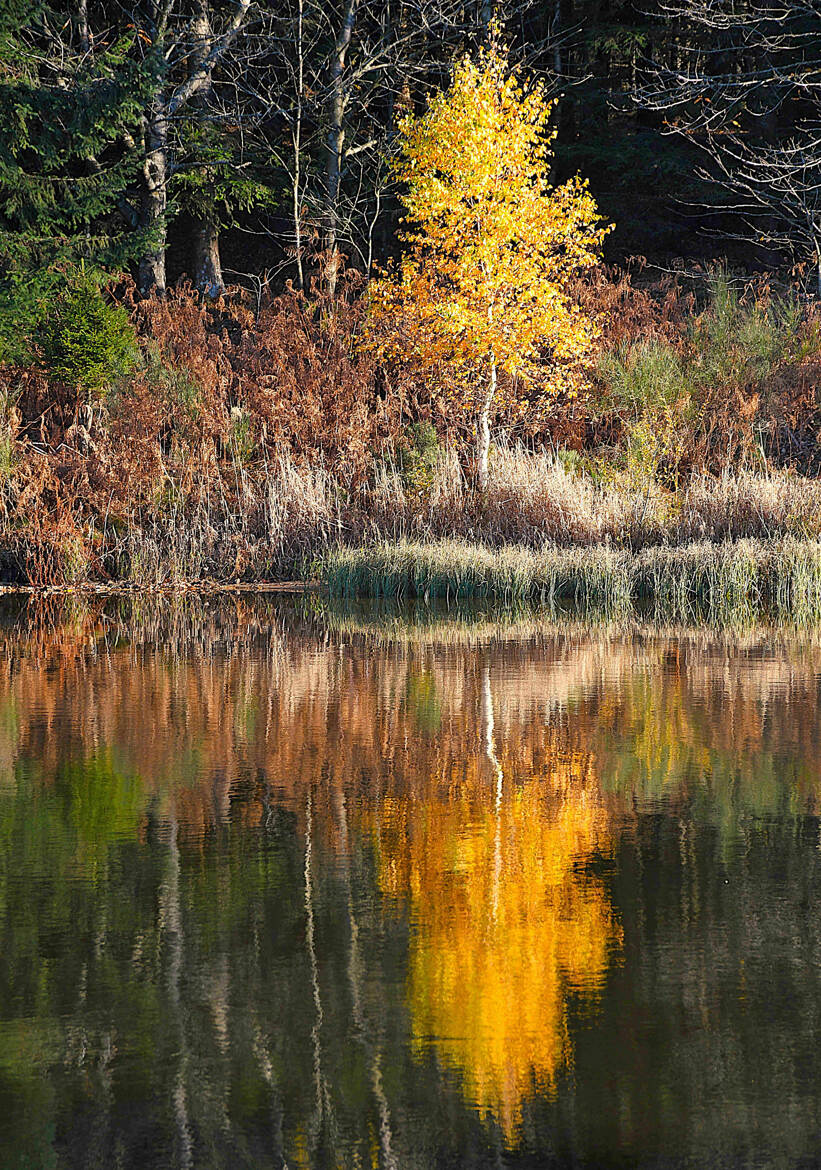 La beauté de la nature