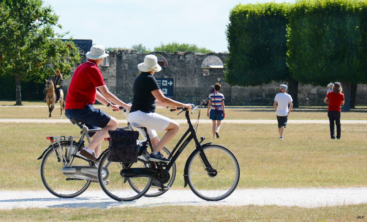 journée d'été au Parc de Chambord