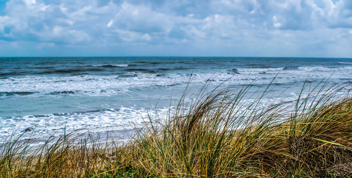 Cote d'Opale et ses dunes