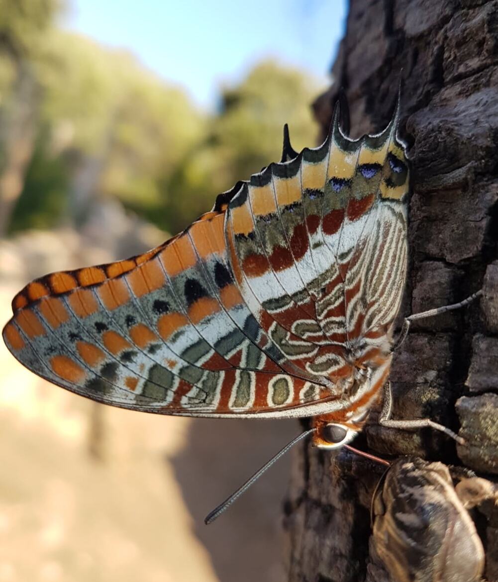 Aux couleurs d'automne