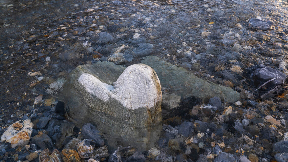 Mon coeur isolé