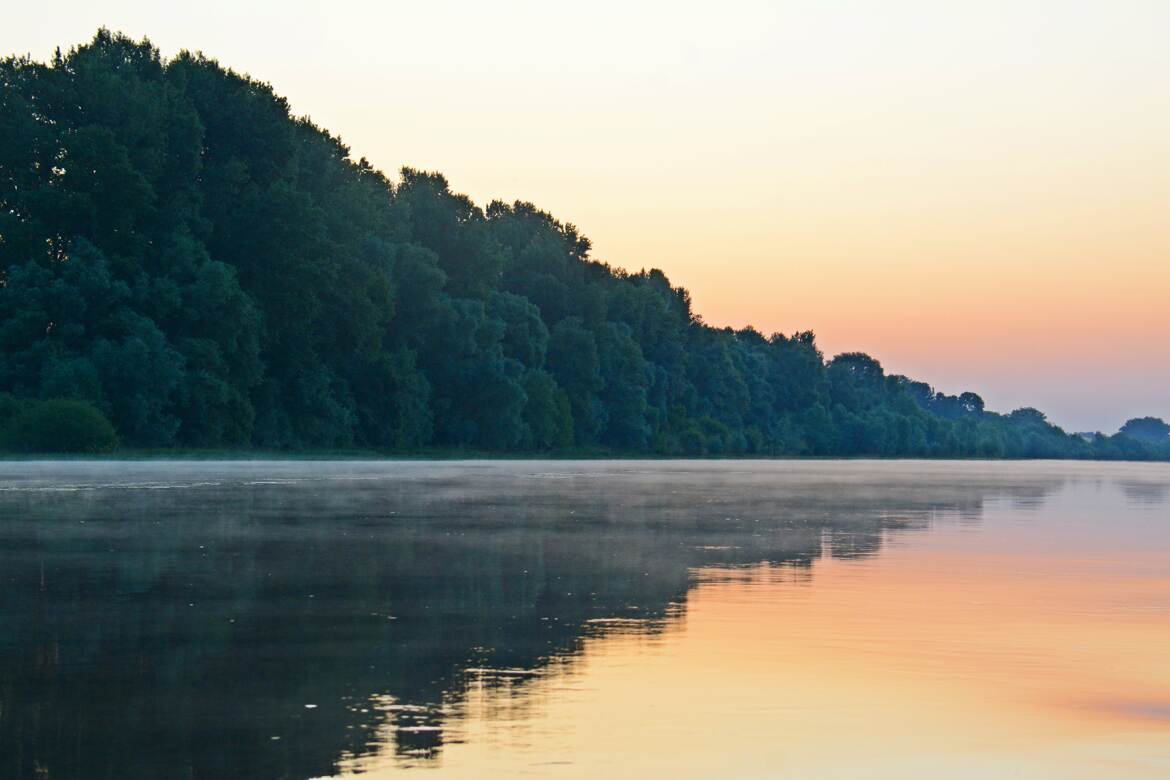 Brume et reflets en Loire