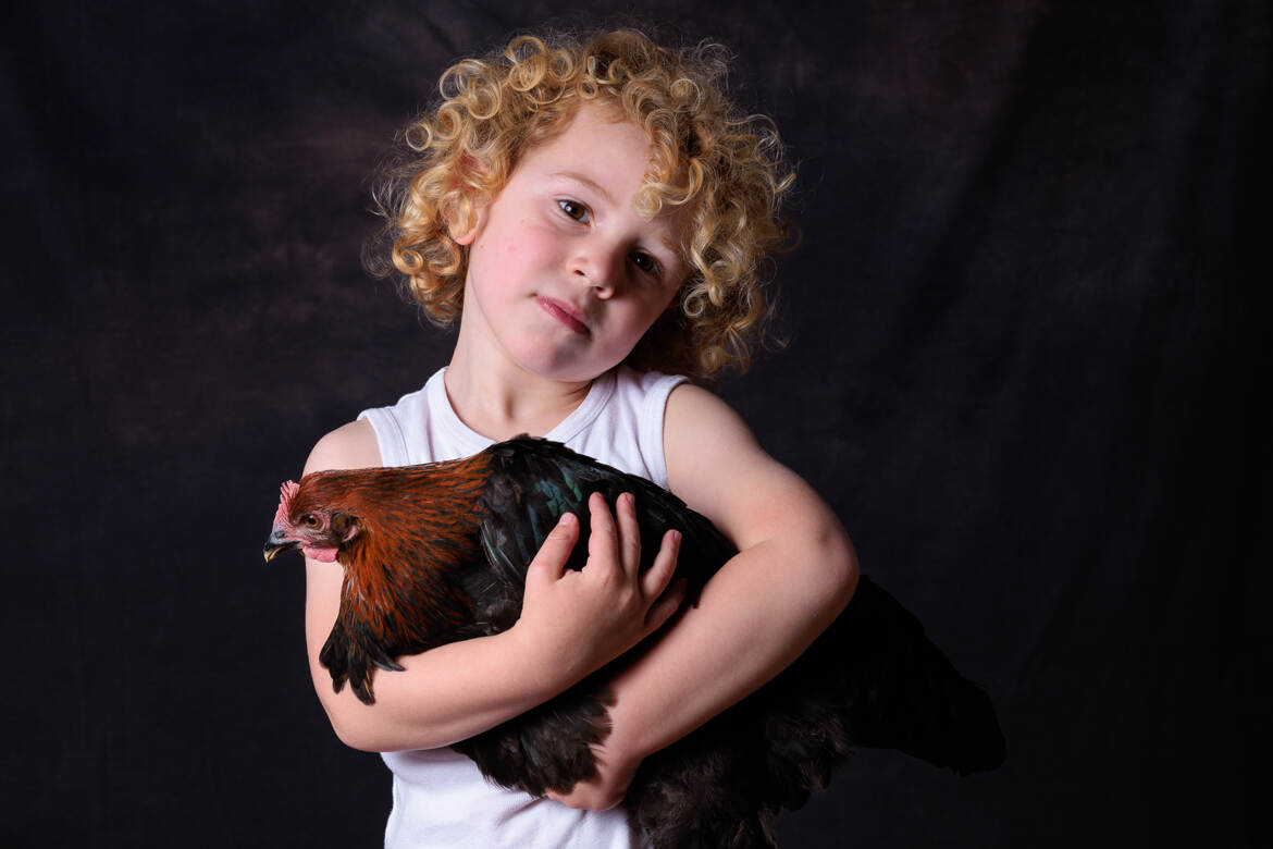 Photographe de poules