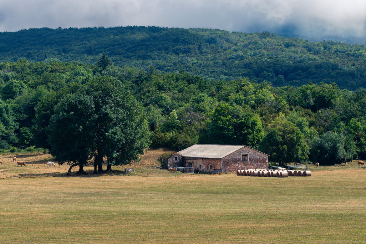 au fond de la vallée