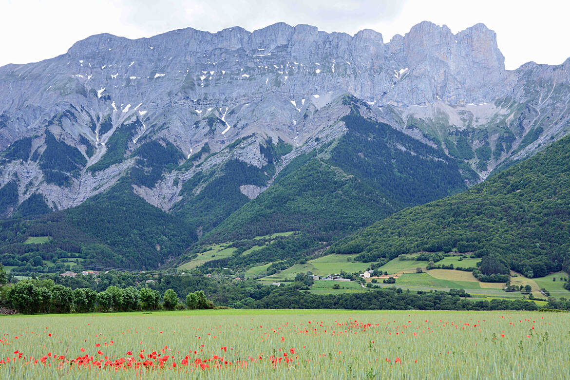 Vallée de l'Ubaye (3)