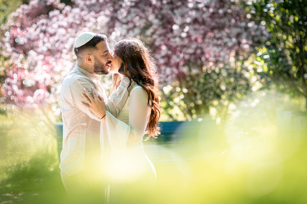 Les oiseaux de cachent ...