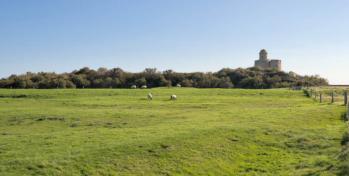 Espace pastoral