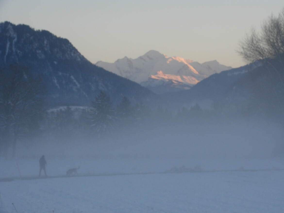 L'homme et son chien