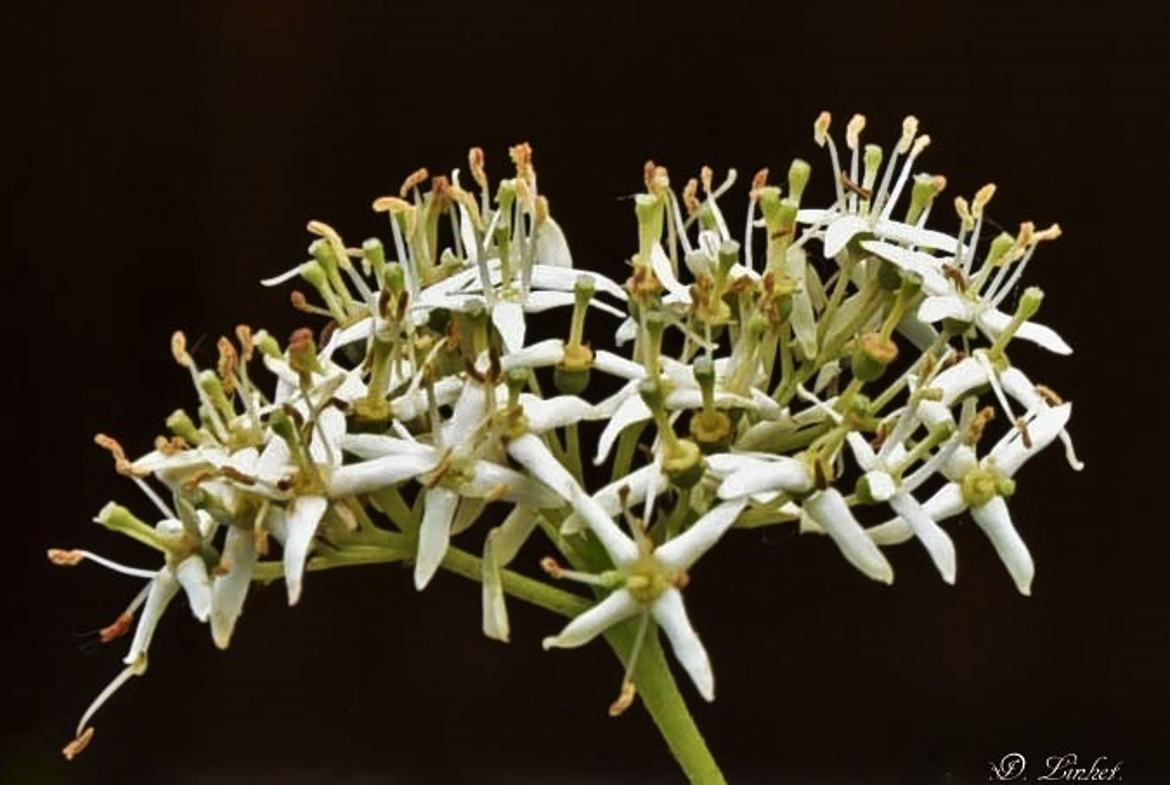 Que la nature est belle !