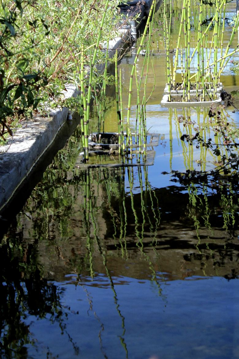 Jardin d’eau