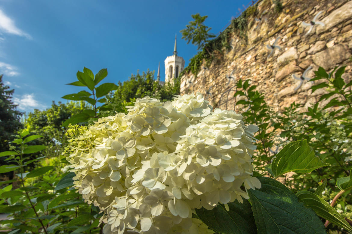 Jardin de Fourvière