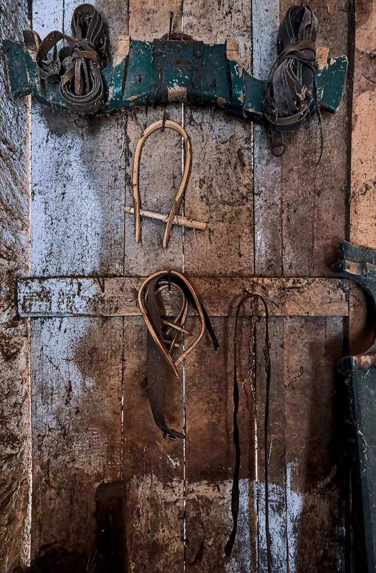 Etable pyrénéenne (2)