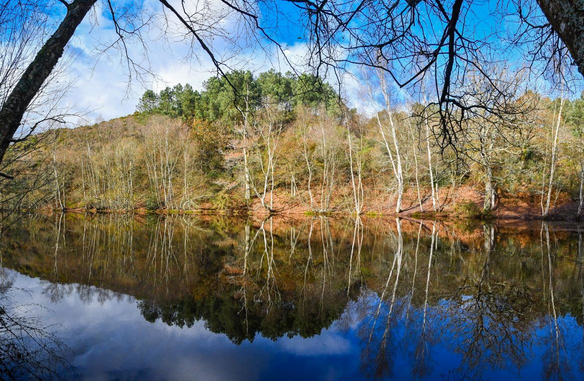 Le Miroir aux Fées