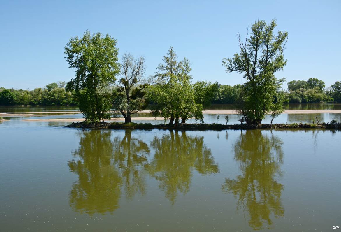 Loire miroir