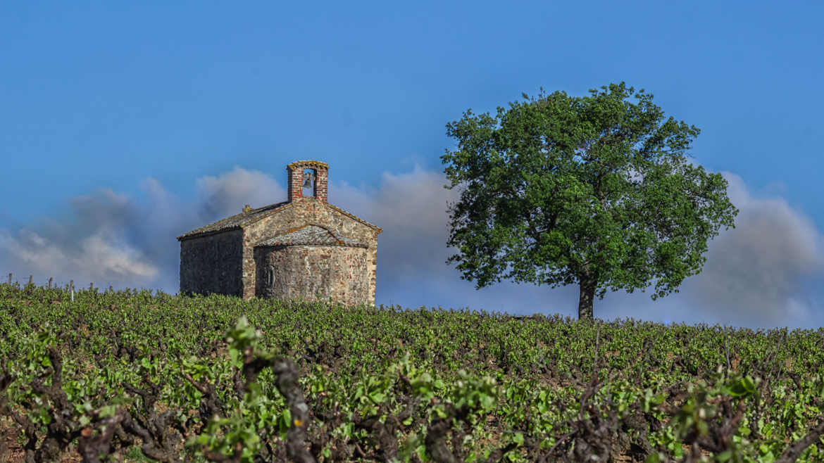 Paysage viticole en Beaujolais