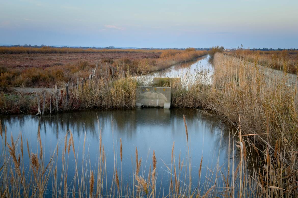 L'eau qui dort