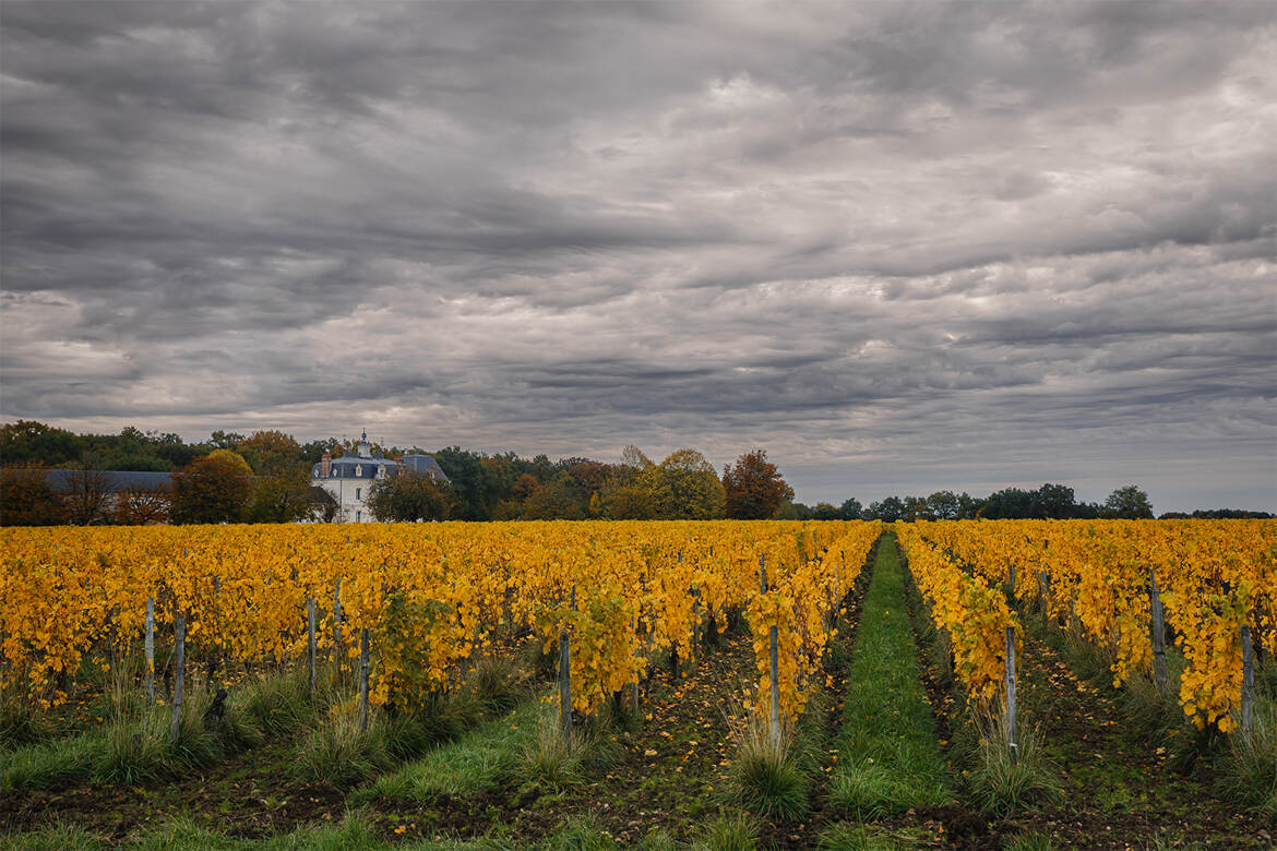 Château L'Aulée...