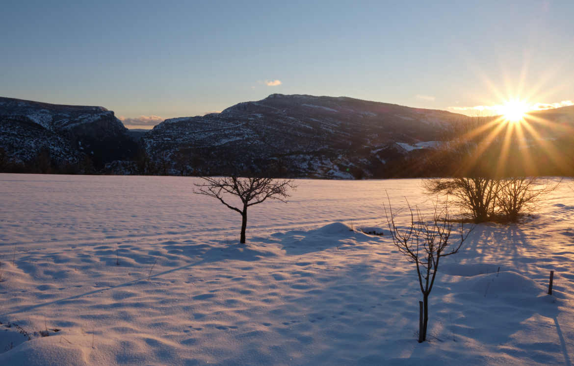 Soleil de haute Provence.