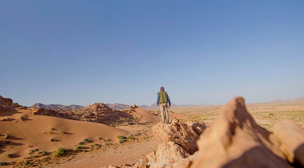 Sentinelle du désert