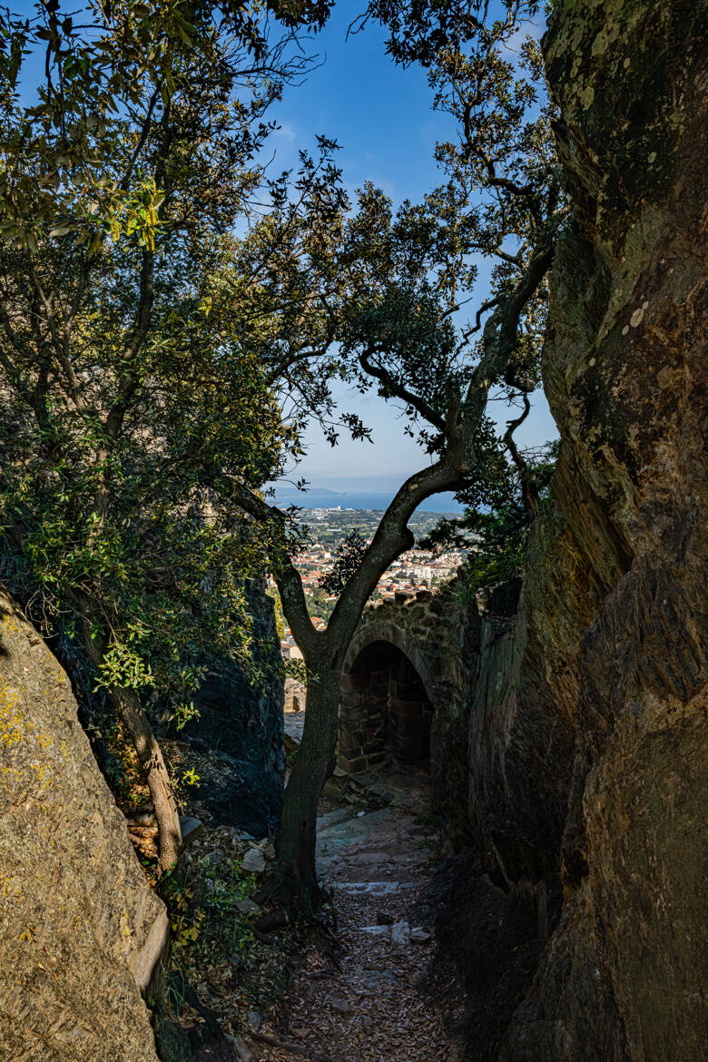 Vue sur Hyères