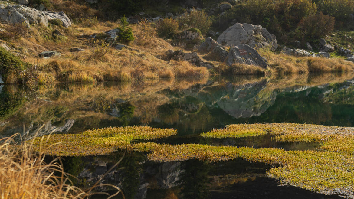 Automne en altitude