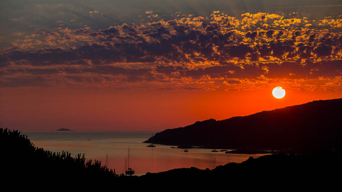 Le roi soleil se leve......
