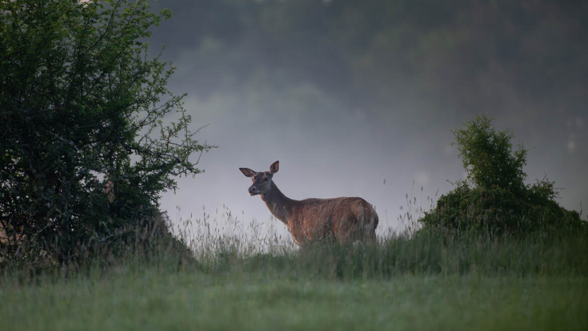 Rencontre matinale