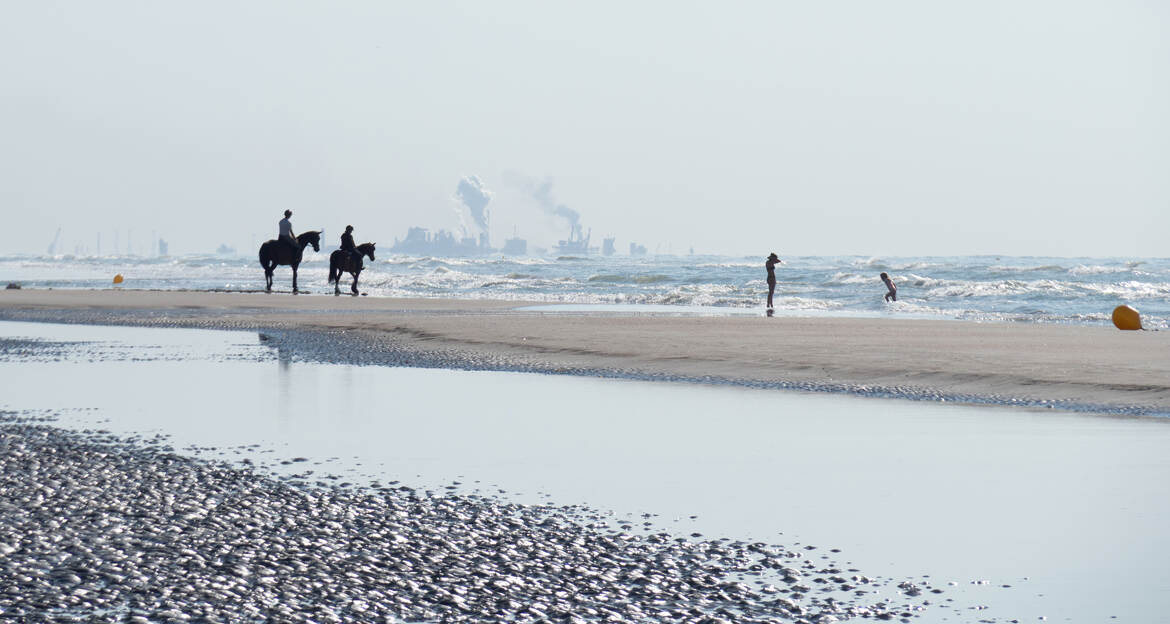 Noordzee
